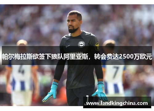帕尔梅拉斯欲签下狼队阿里亚斯，转会费达2500万欧元